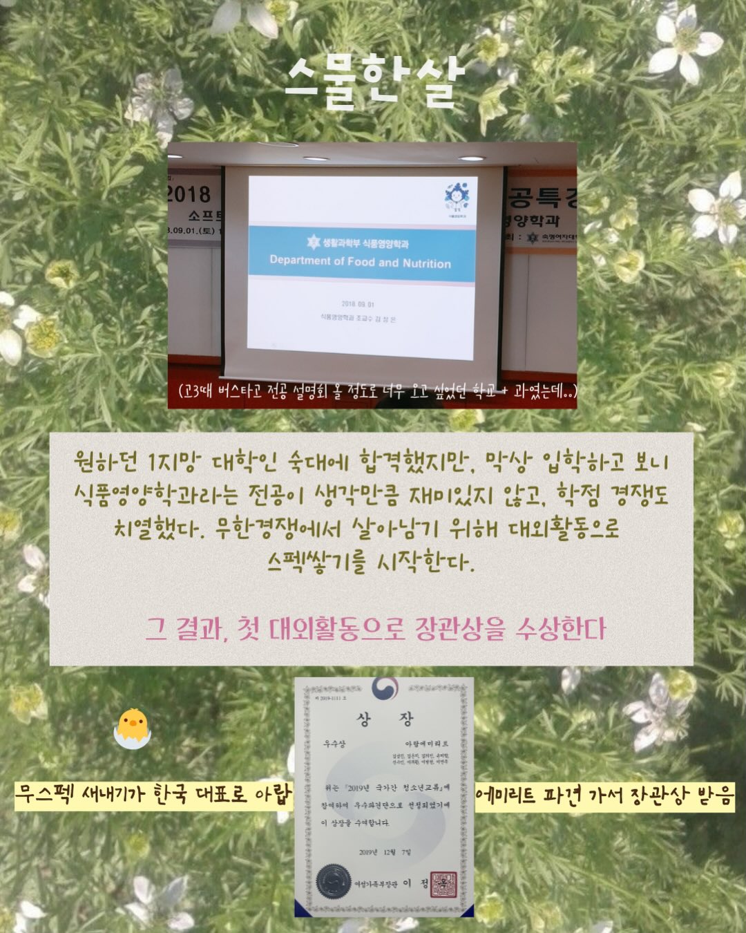 미태그 6