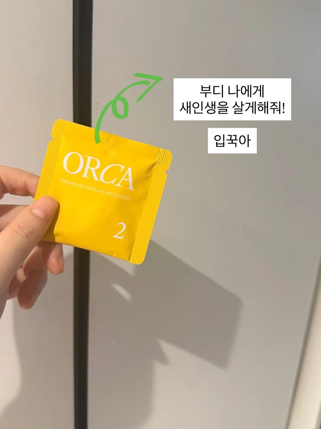 블라우스 7