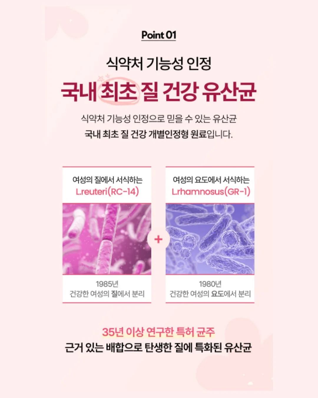 인도네시아 이젠 하이랜드 커피 10