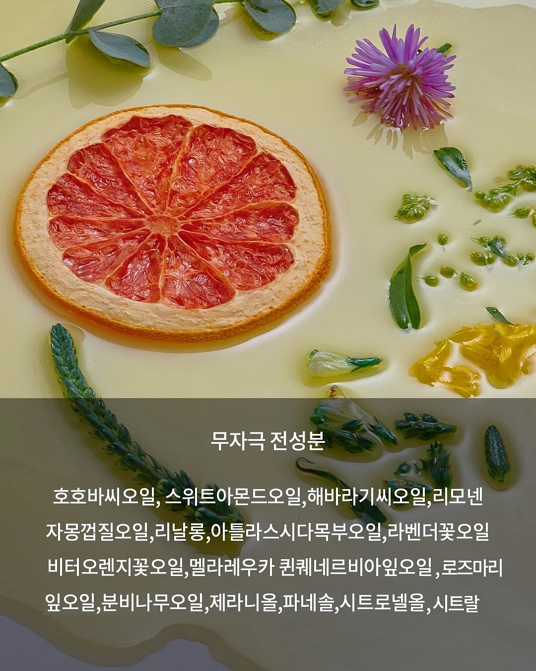 모기기피제 11