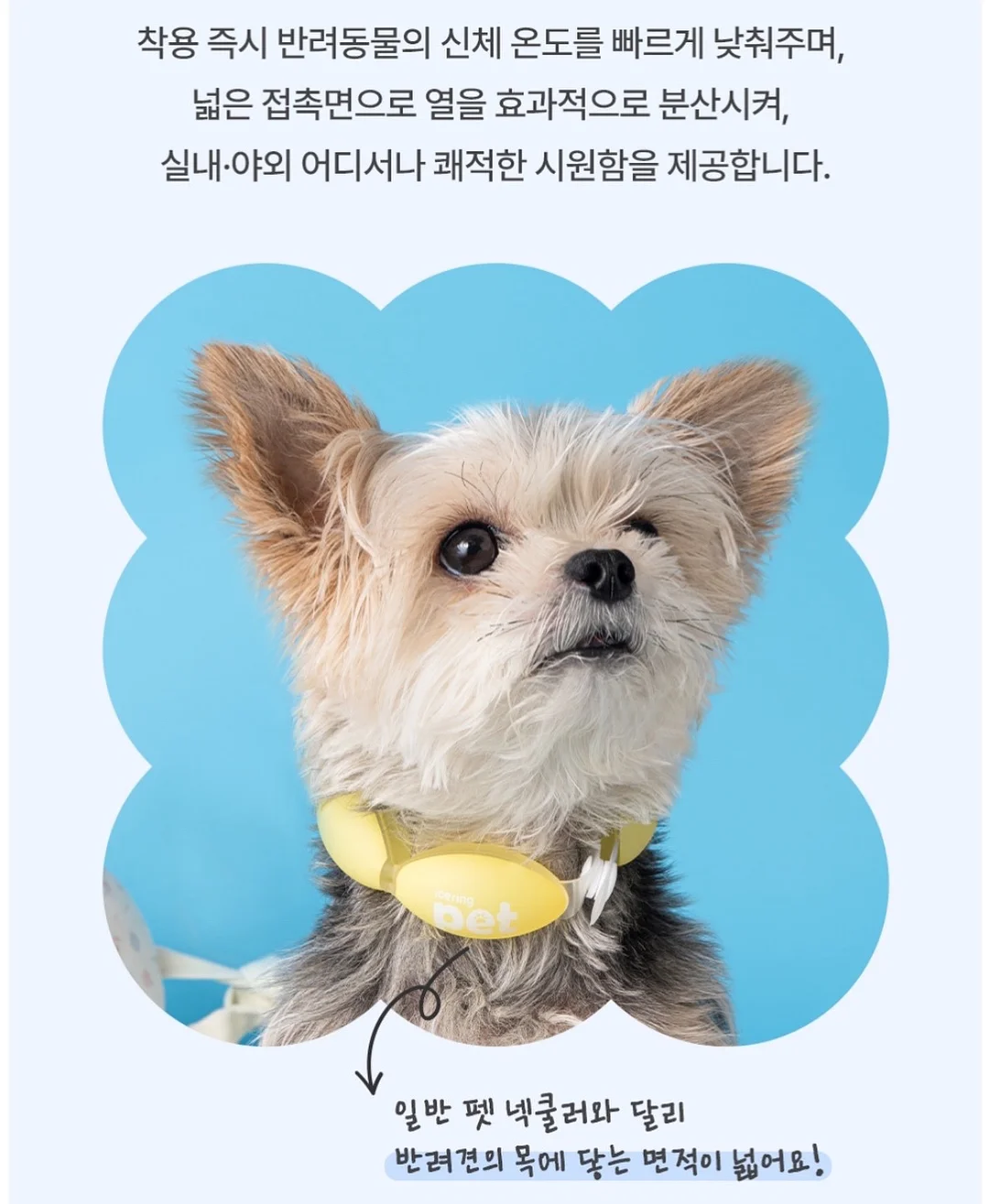레오 고무나무 원목 의자 19