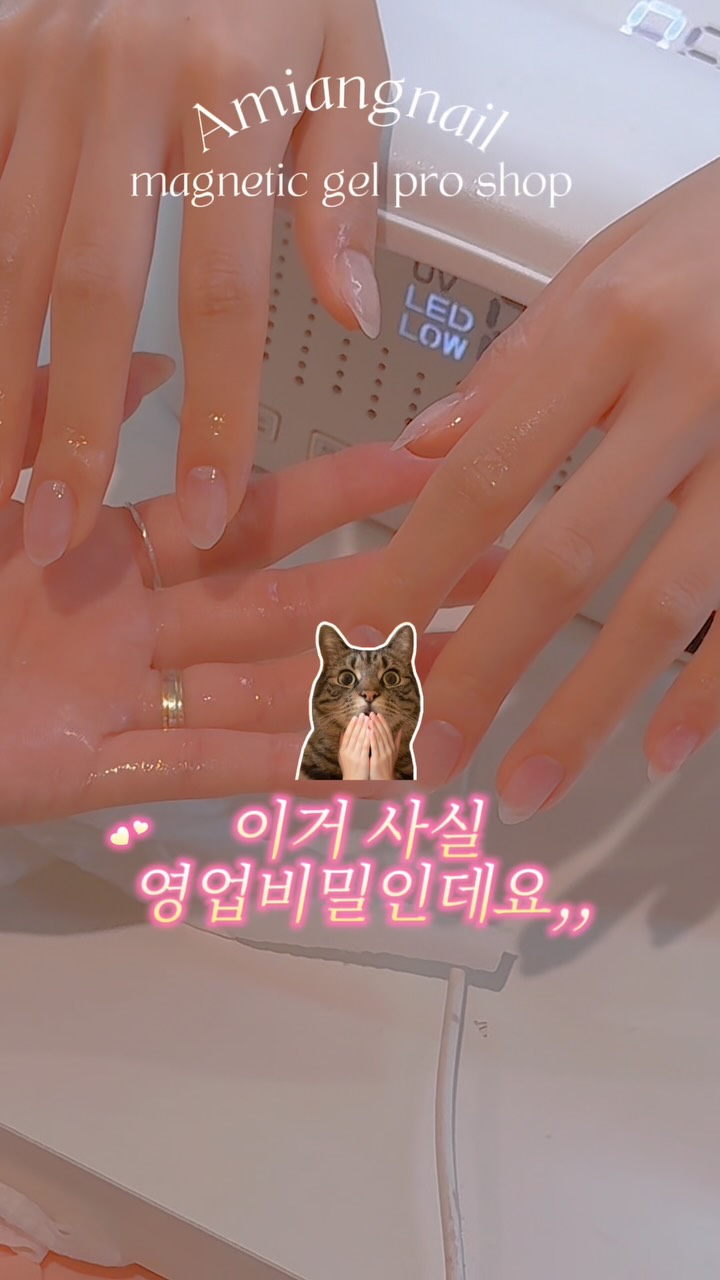 달콤 X 에브리타운 콜라보 굿즈 세트