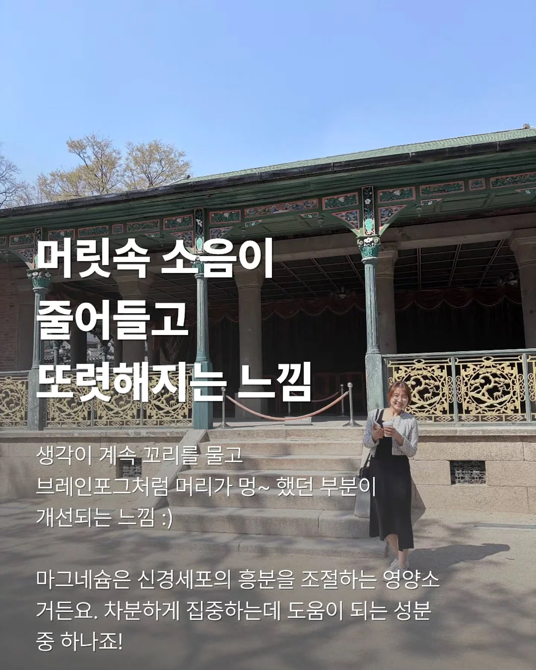 건강 채소 4