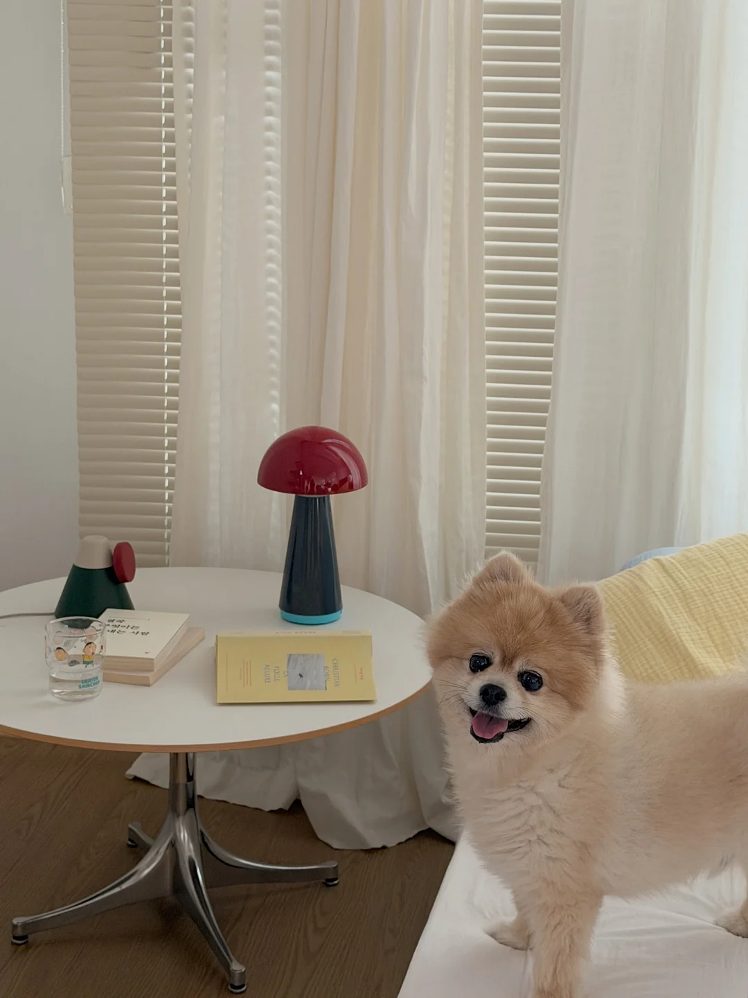 캔바 수업 9