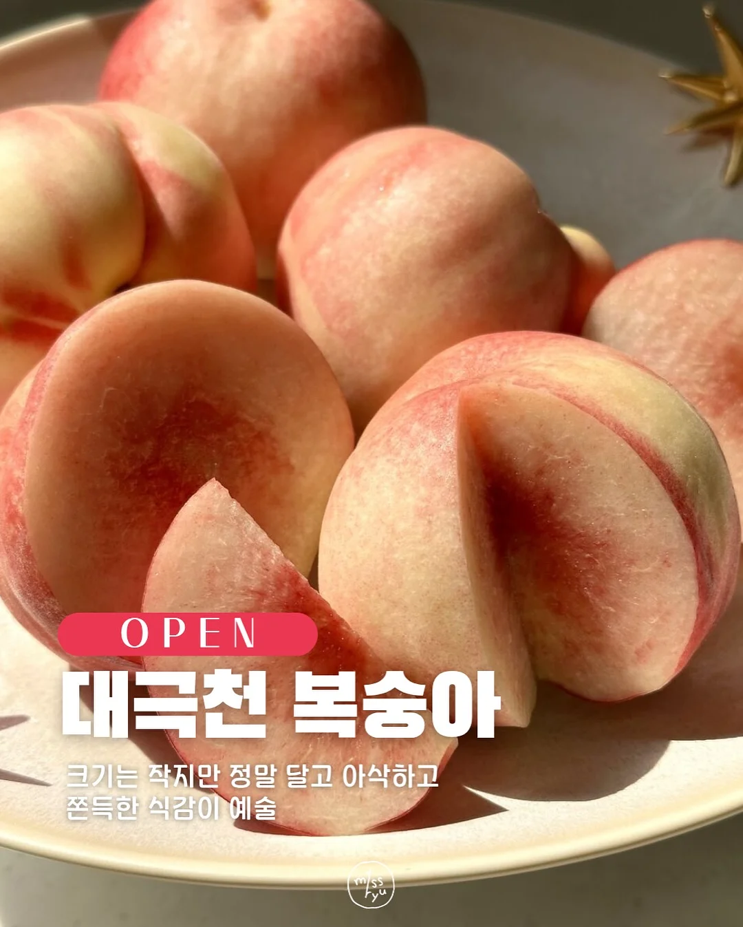 차량용 등받이 쿠션 보냉 수납함 1