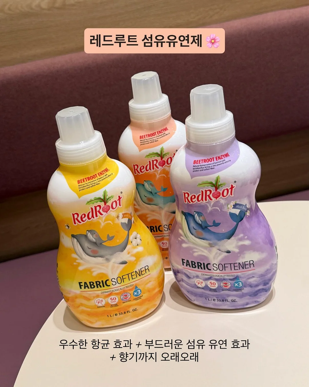 해독주스 12