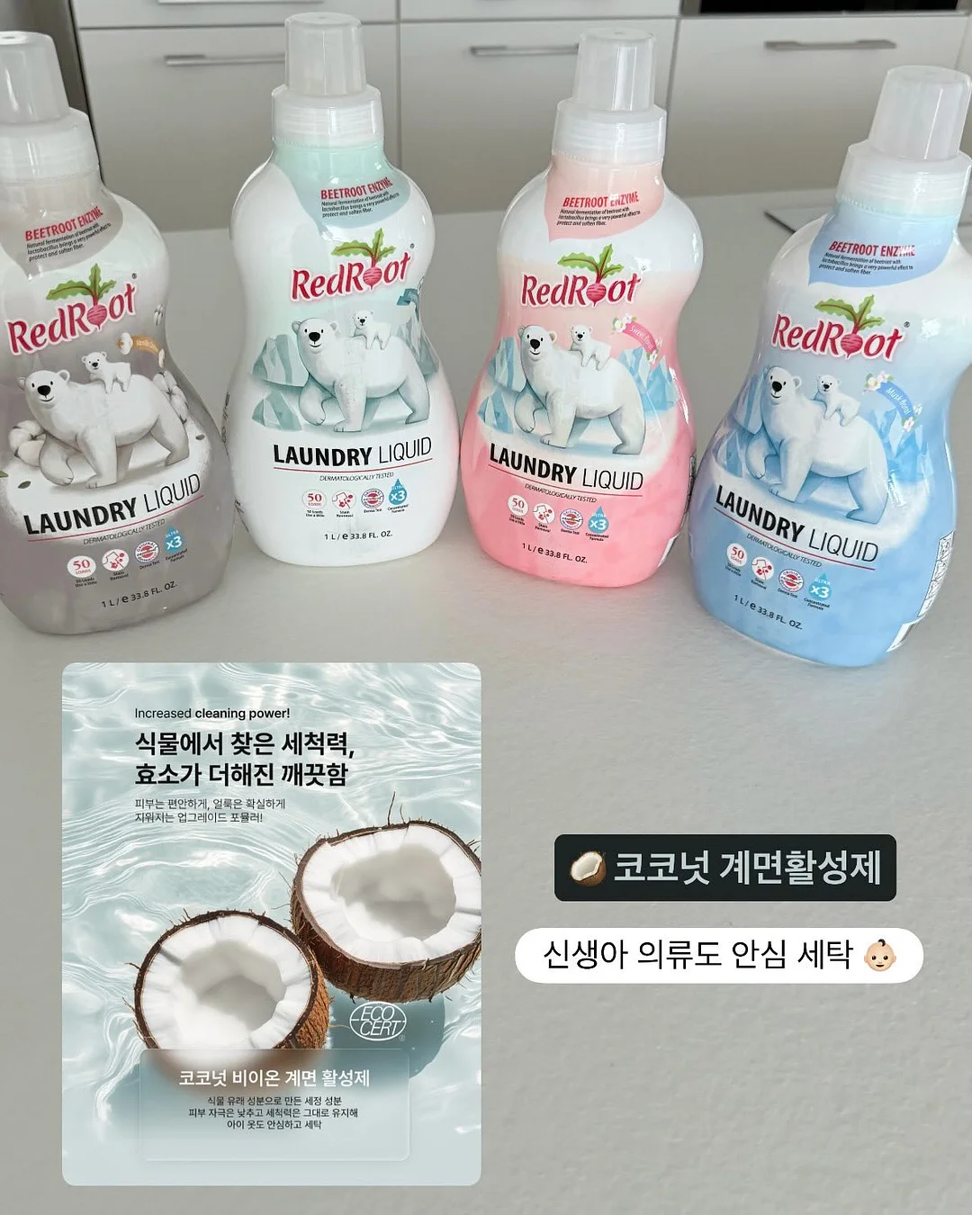 해독주스 5
