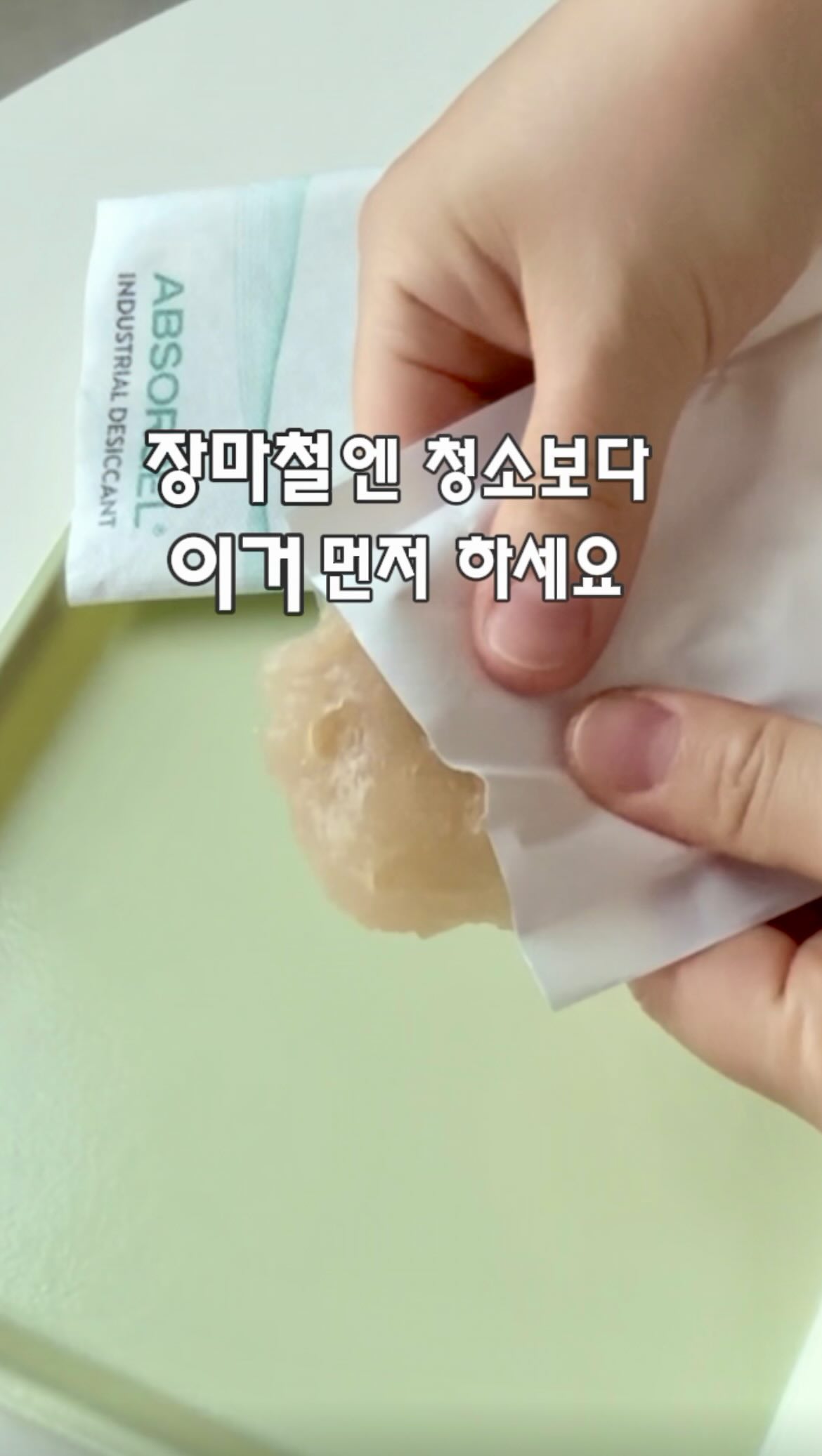 조화튤립