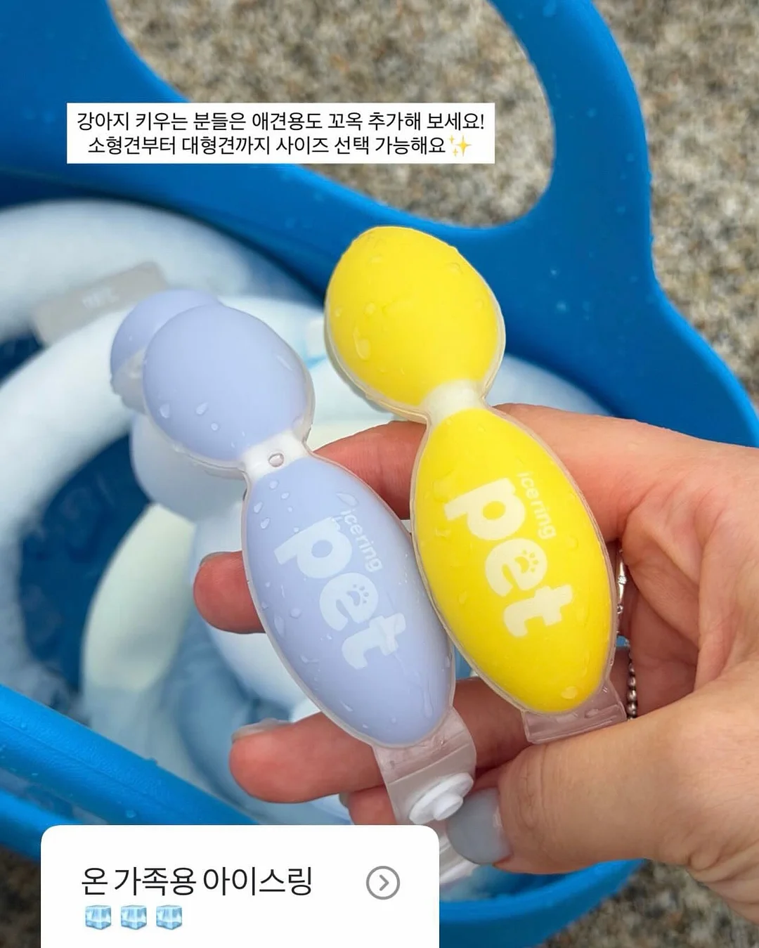 소파베드 12