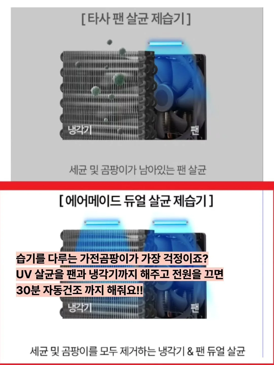 팀버토츠 패밀리 올라운드테이블 5
