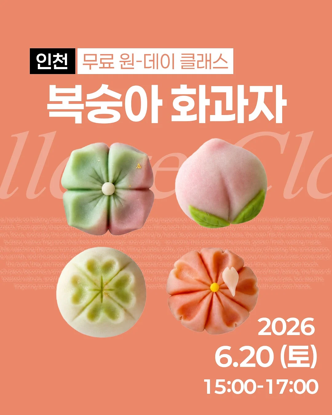 군마현 이세사키시 민박 1