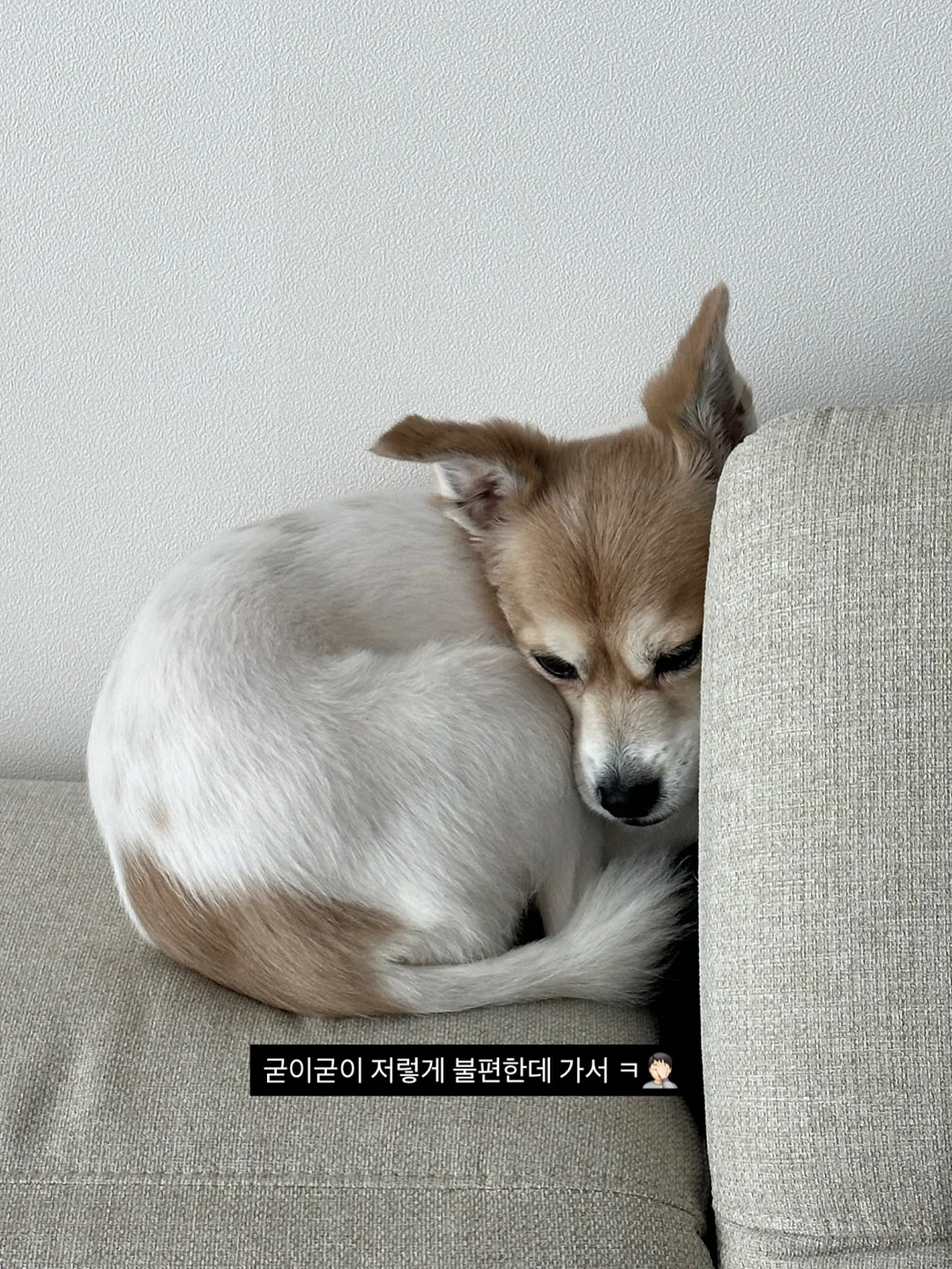 소파베드 2