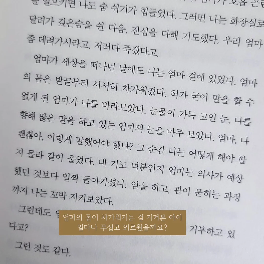 Bare Summer 컬렉션 4