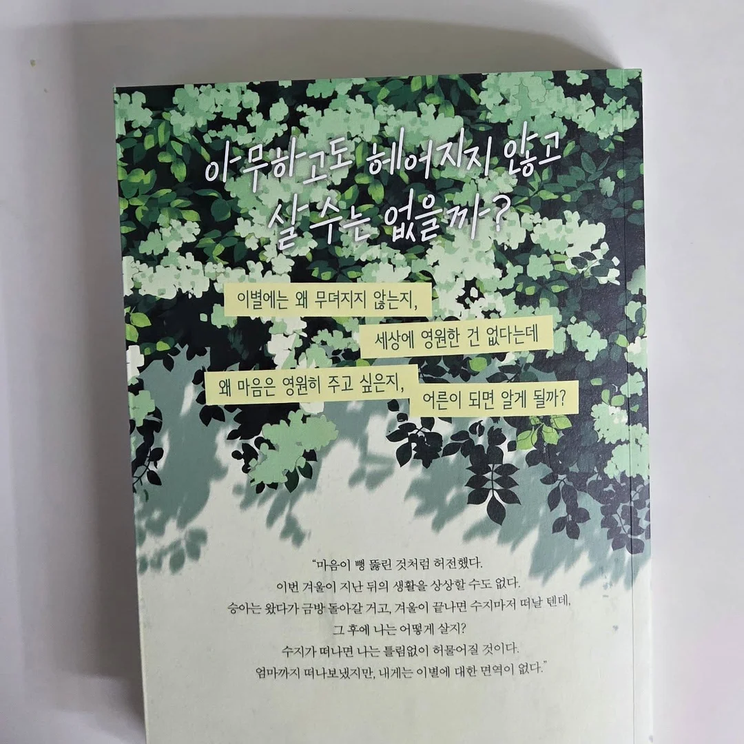 Bare Summer 컬렉션 8