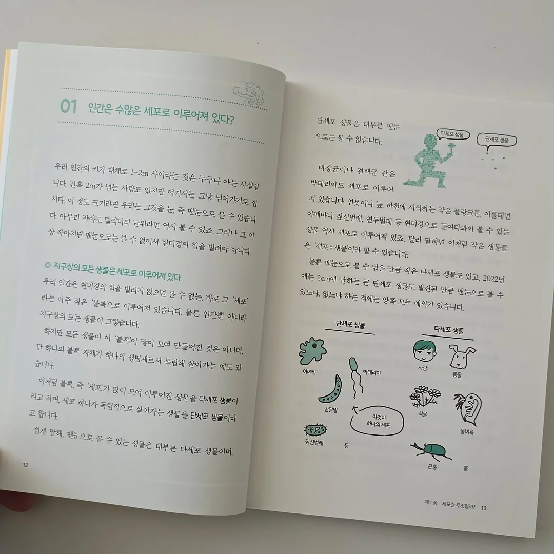 므므 와이드 반팔티 7
