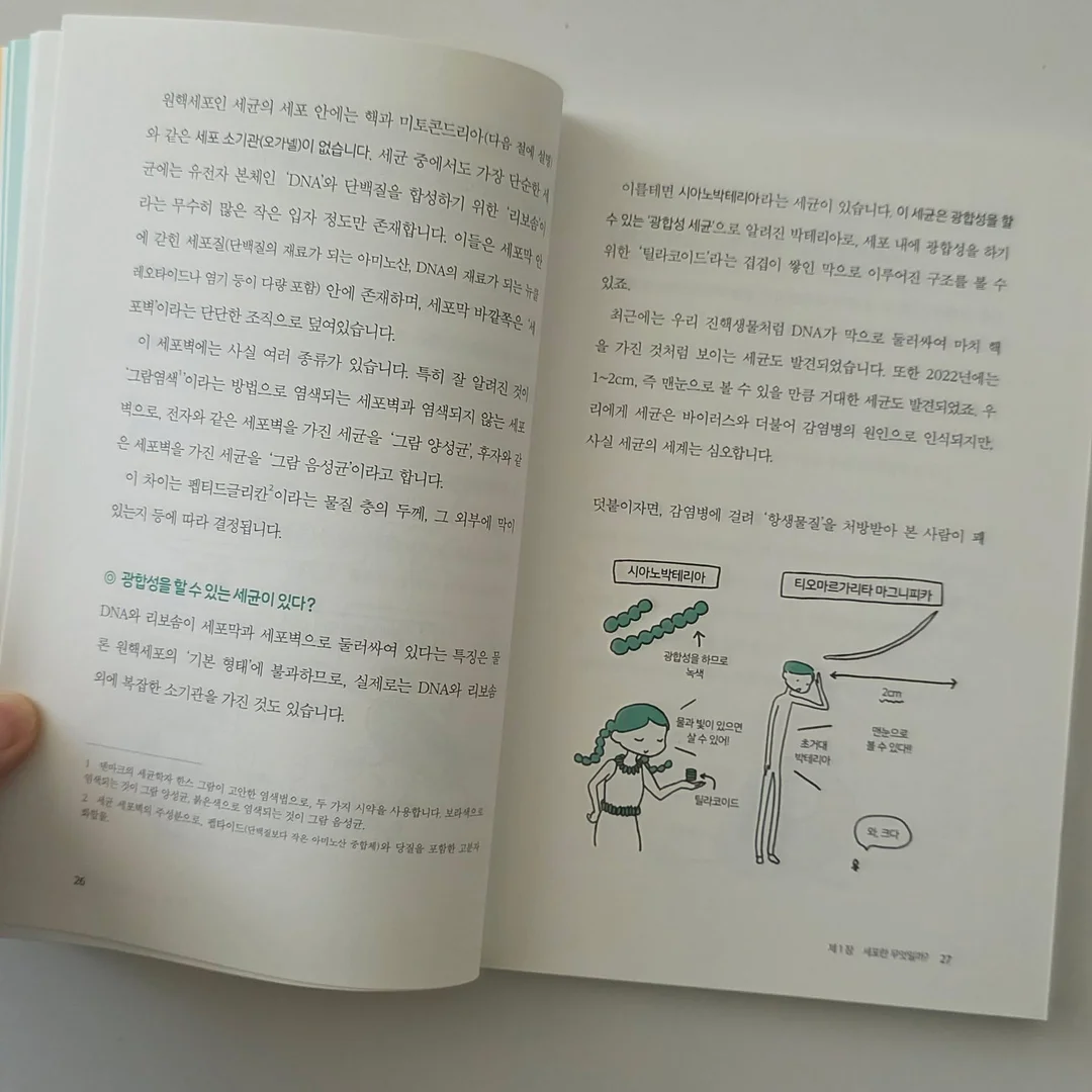 므므 와이드 반팔티 8