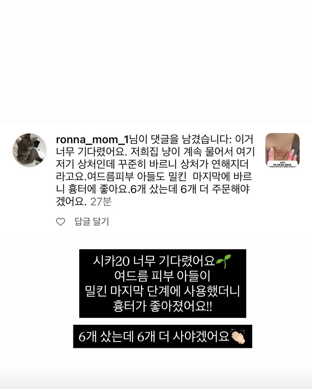 보니비 촉촉 파우더 6