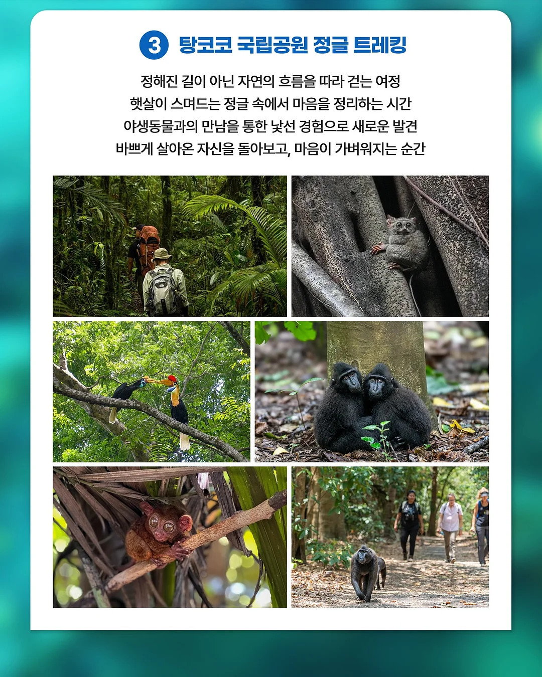 주술회전 팝업스토어 굿즈 4