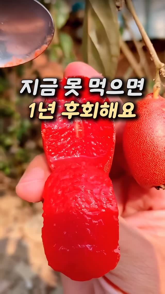 종근당 영양제