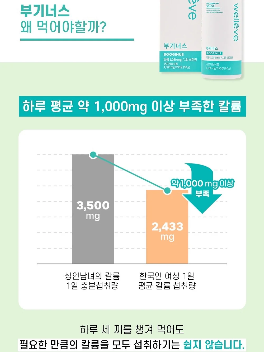 휘커스움베르타 5
