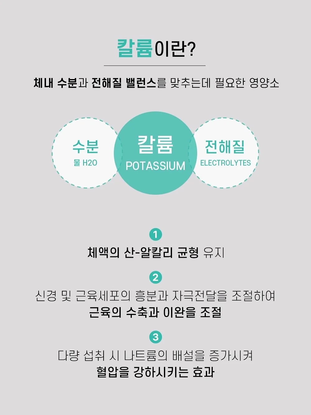 휘커스움베르타 6