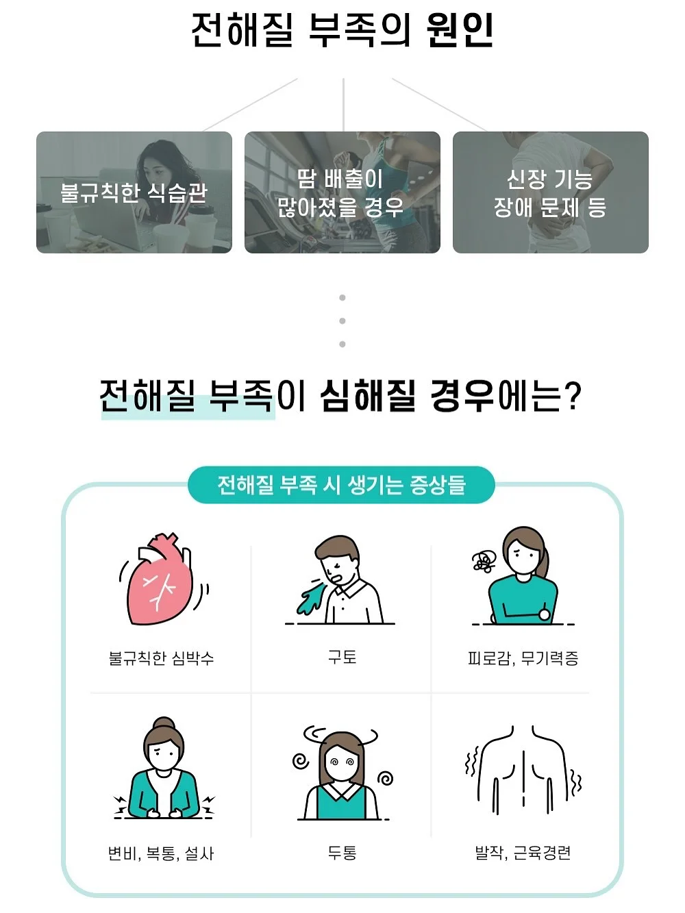 휘커스움베르타 7