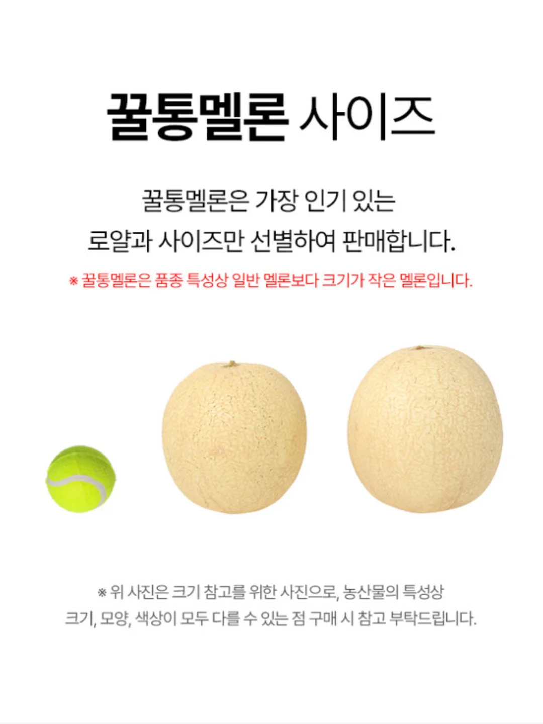 별별캠핑 방수돗자리 11