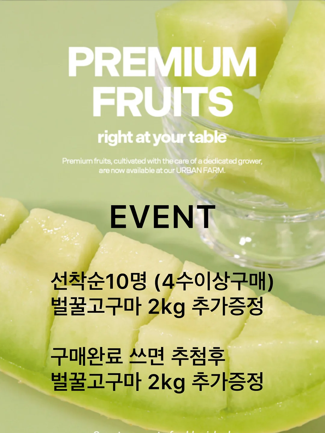 별별캠핑 방수돗자리 2