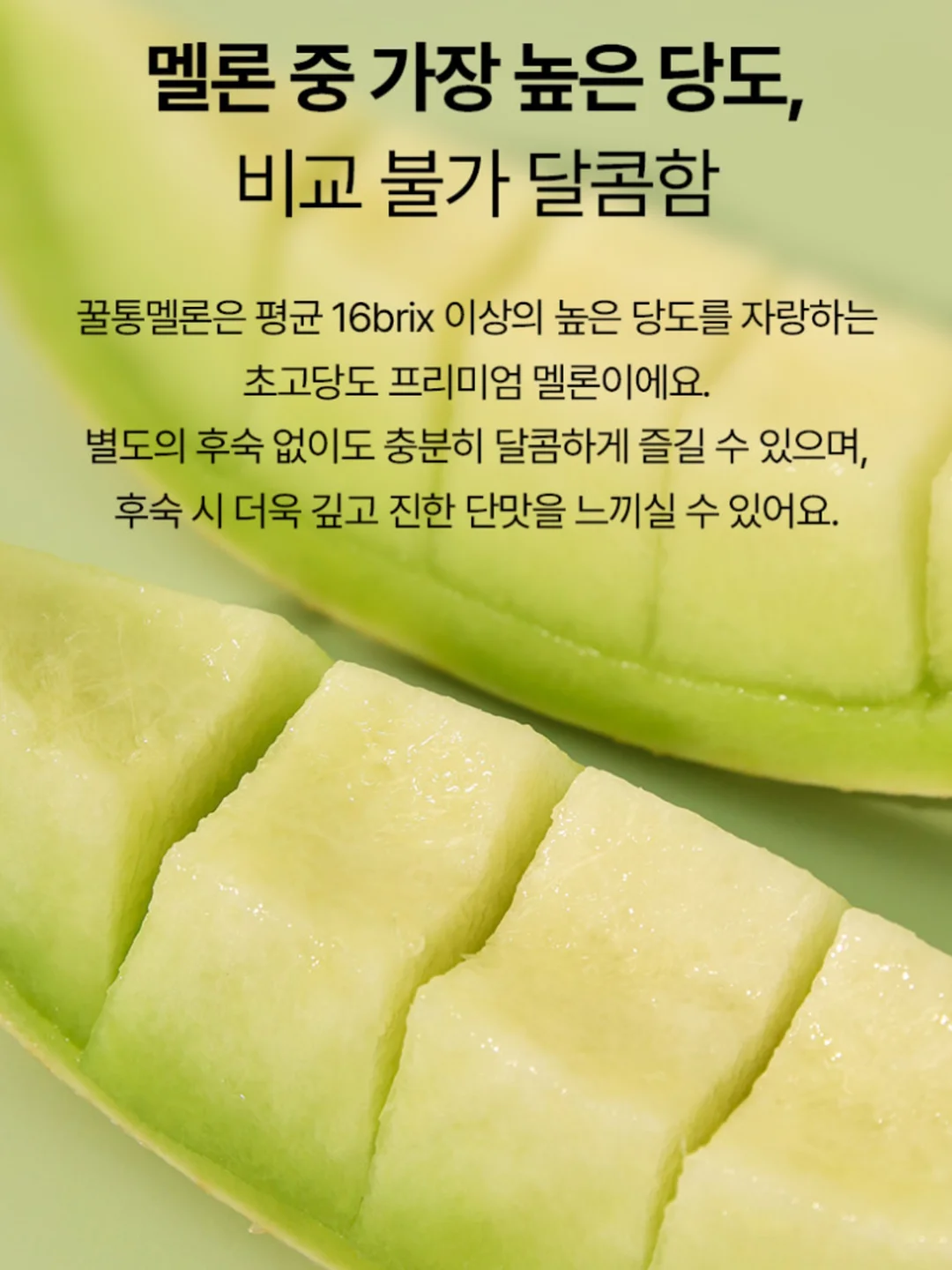 별별캠핑 방수돗자리 6