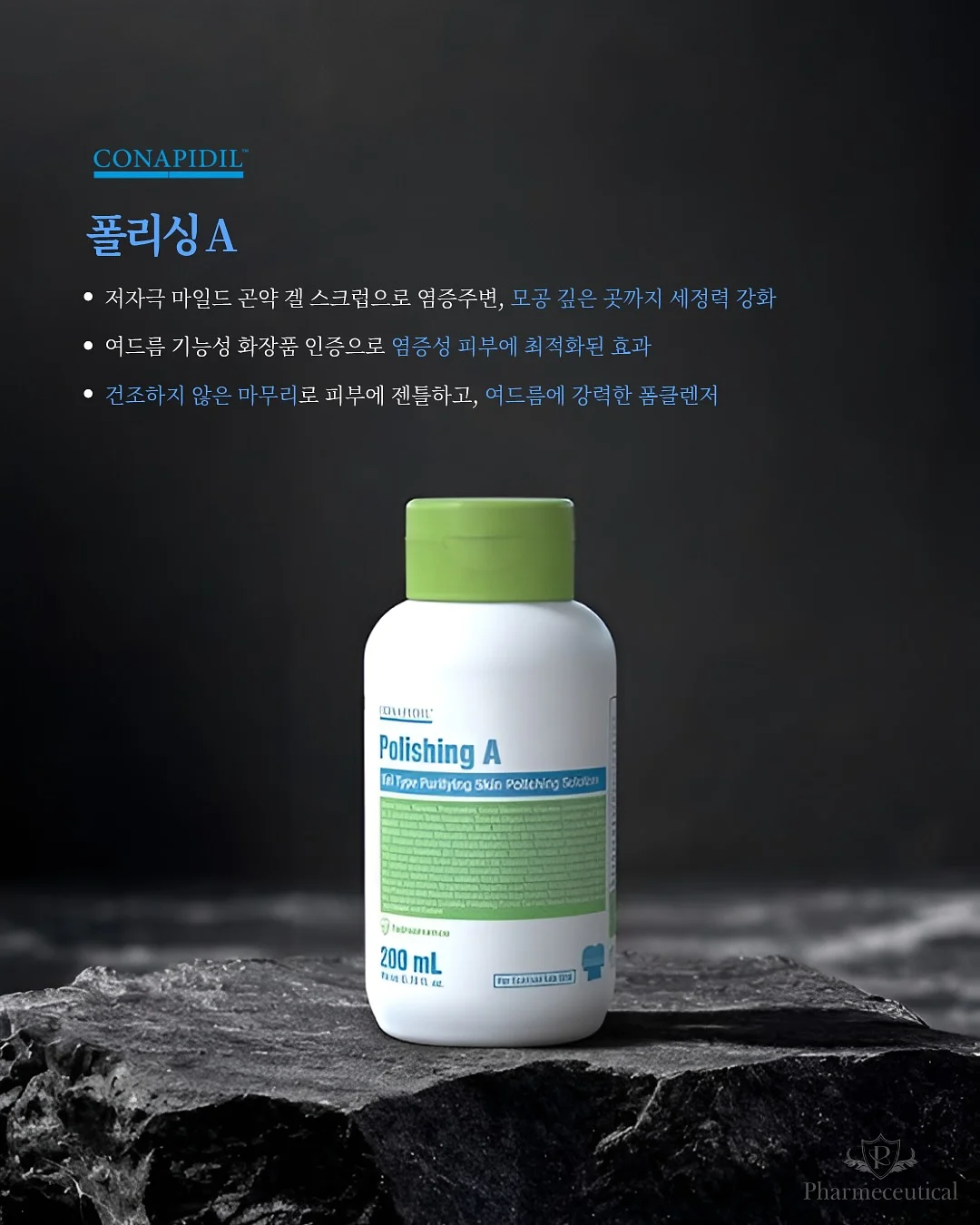 빵티칸 순례 버스 2