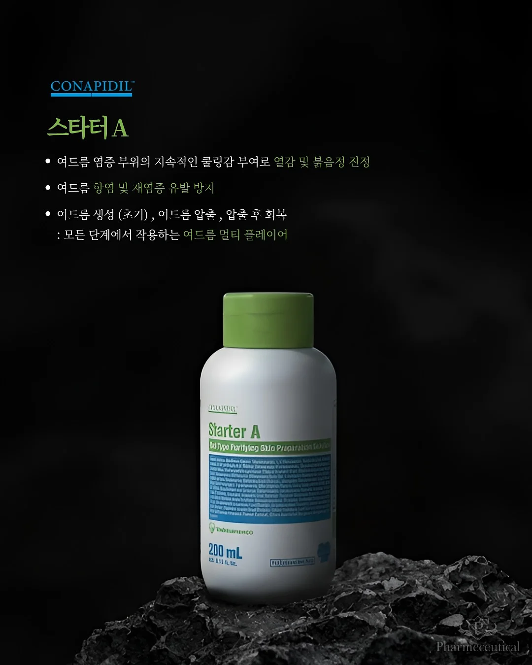 빵티칸 순례 버스 4
