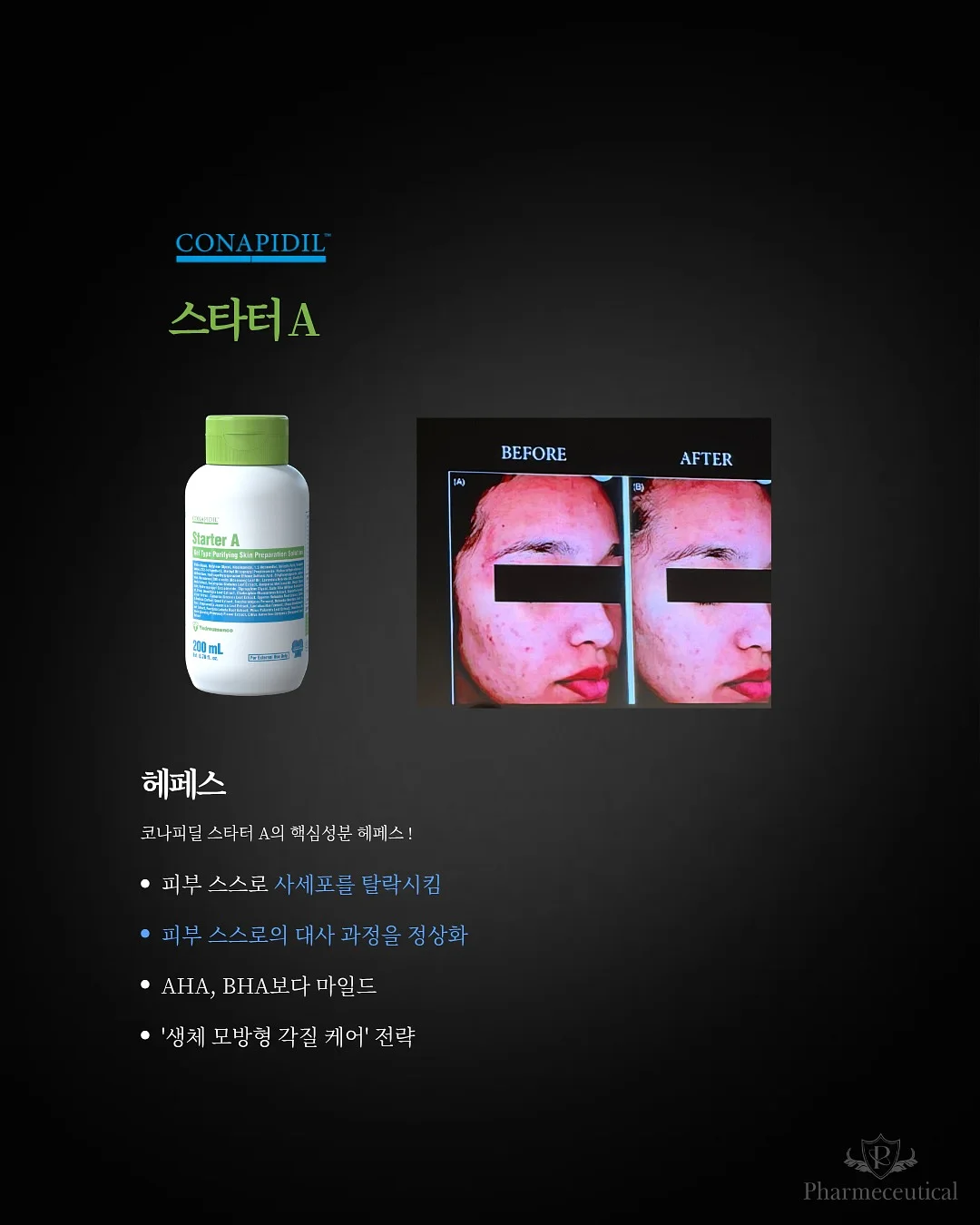 빵티칸 순례 버스 5