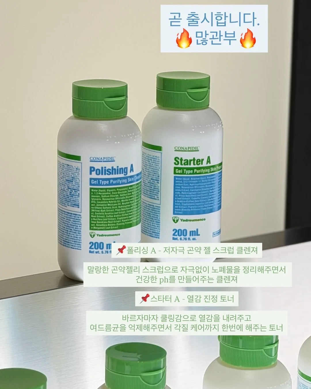 빵티칸 순례 버스 6
