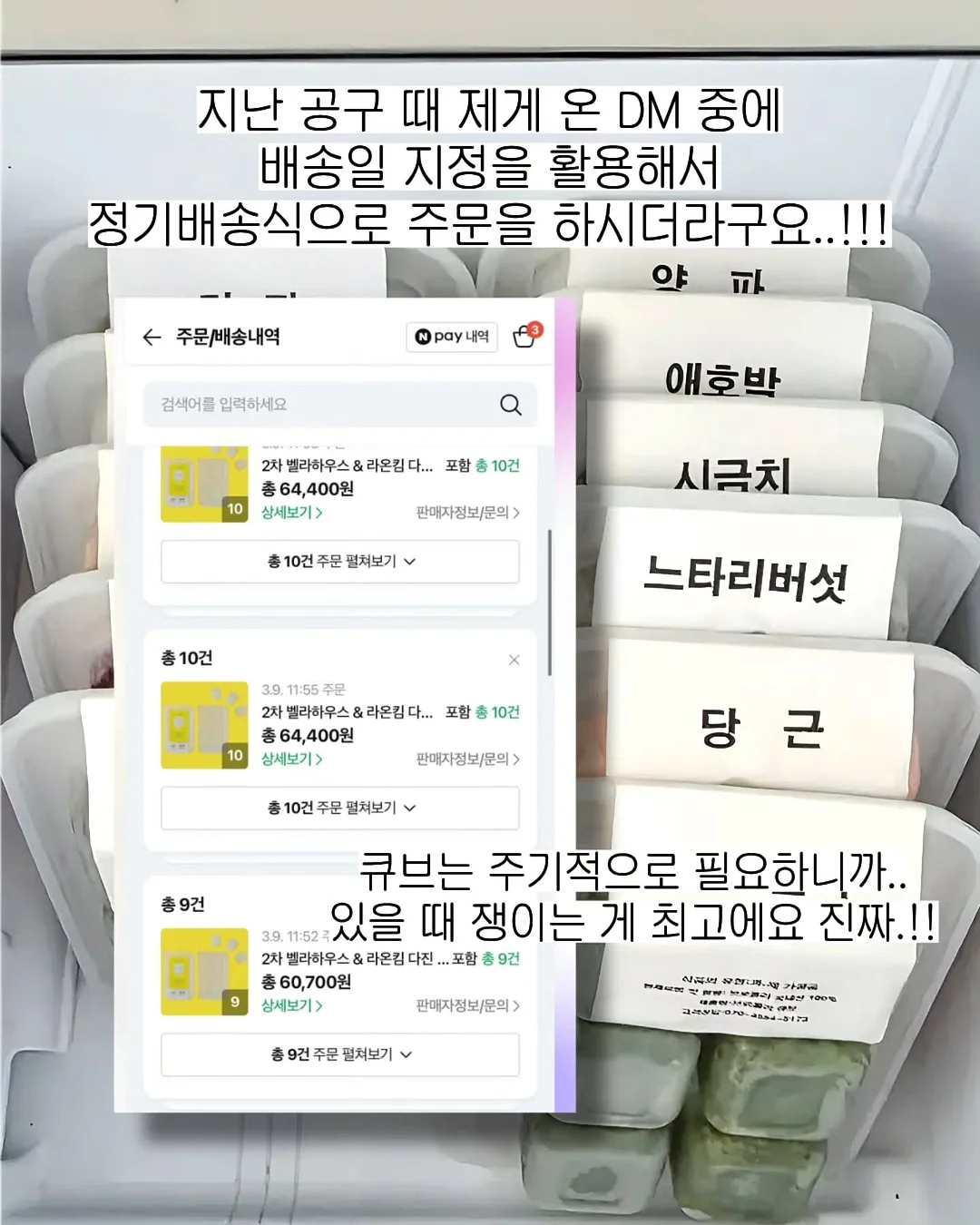 디키즈 반팔 6