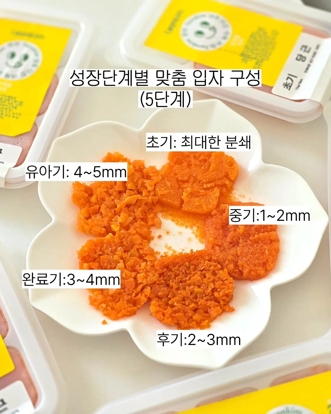 디키즈 반팔 7