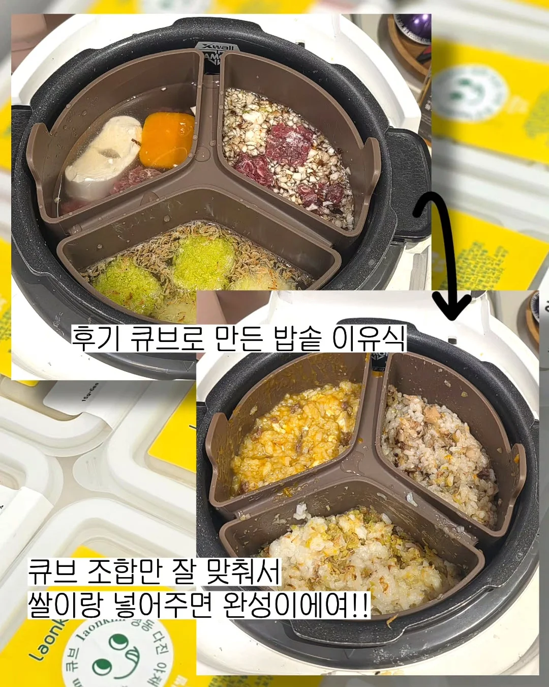 디키즈 반팔 8