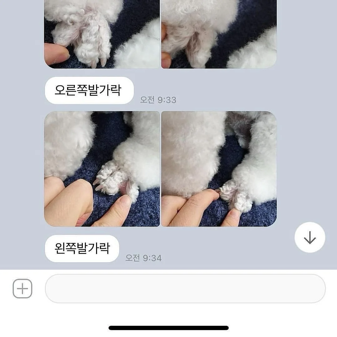 정샘물 피부 비법 5