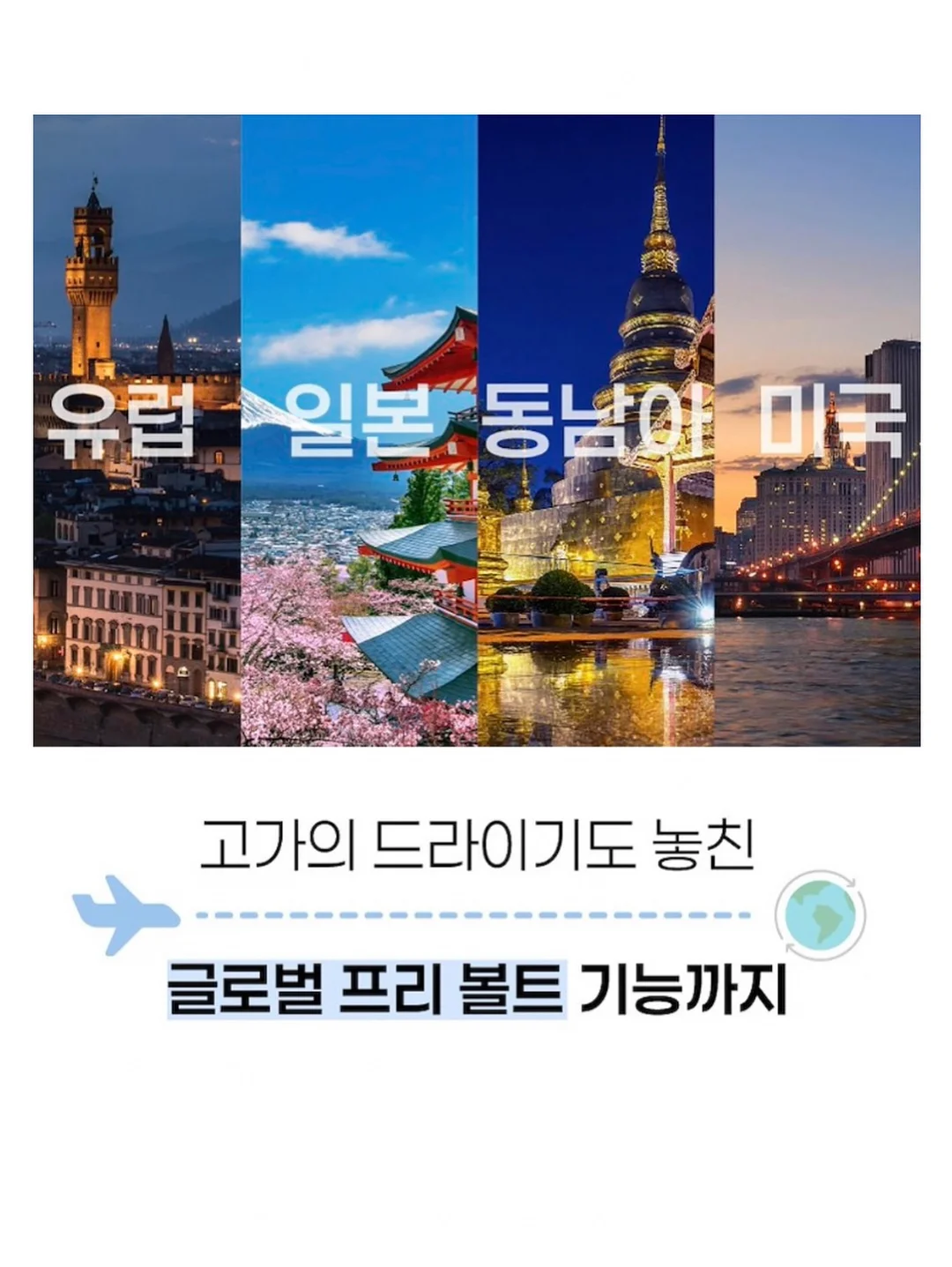 크리티다 엑스트라버진 올리브오일 4