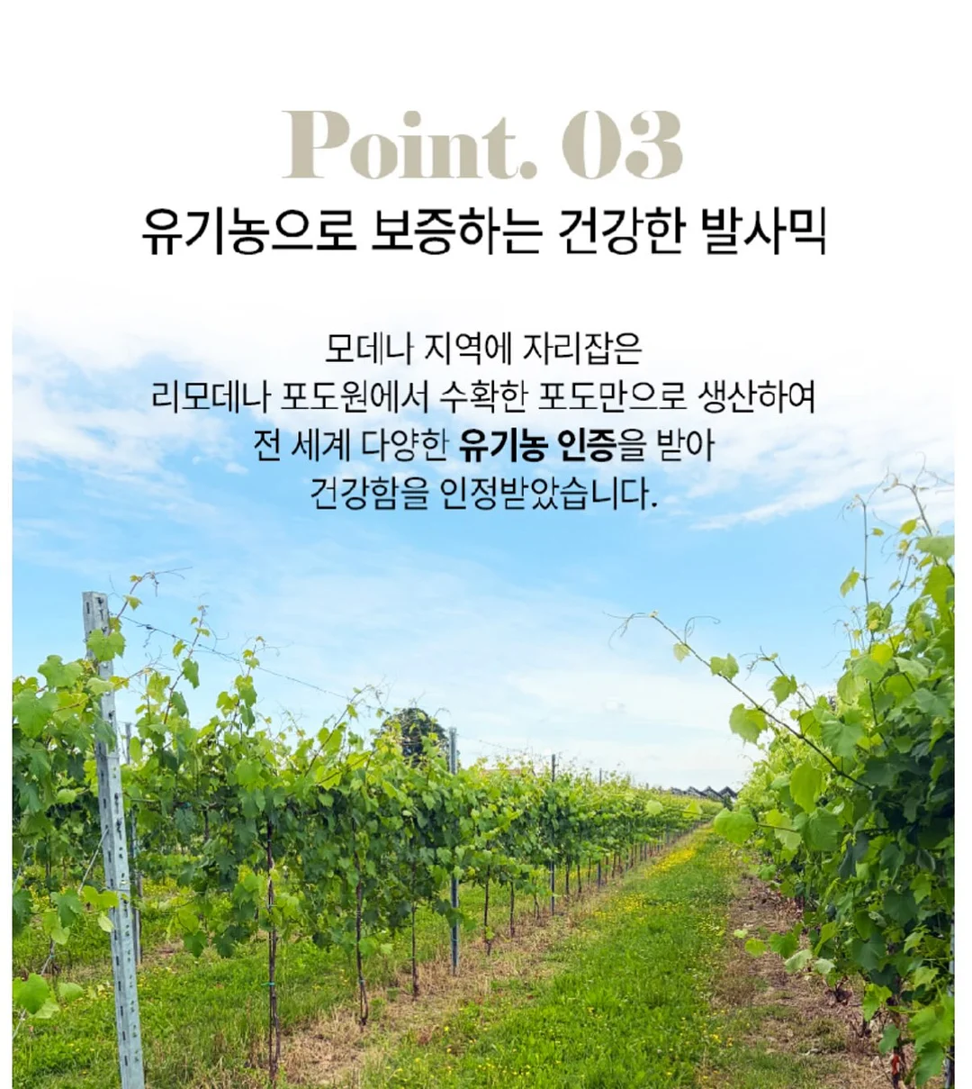 RB 월넛 세라믹 테이블 & 고멜 월넛 체어 11