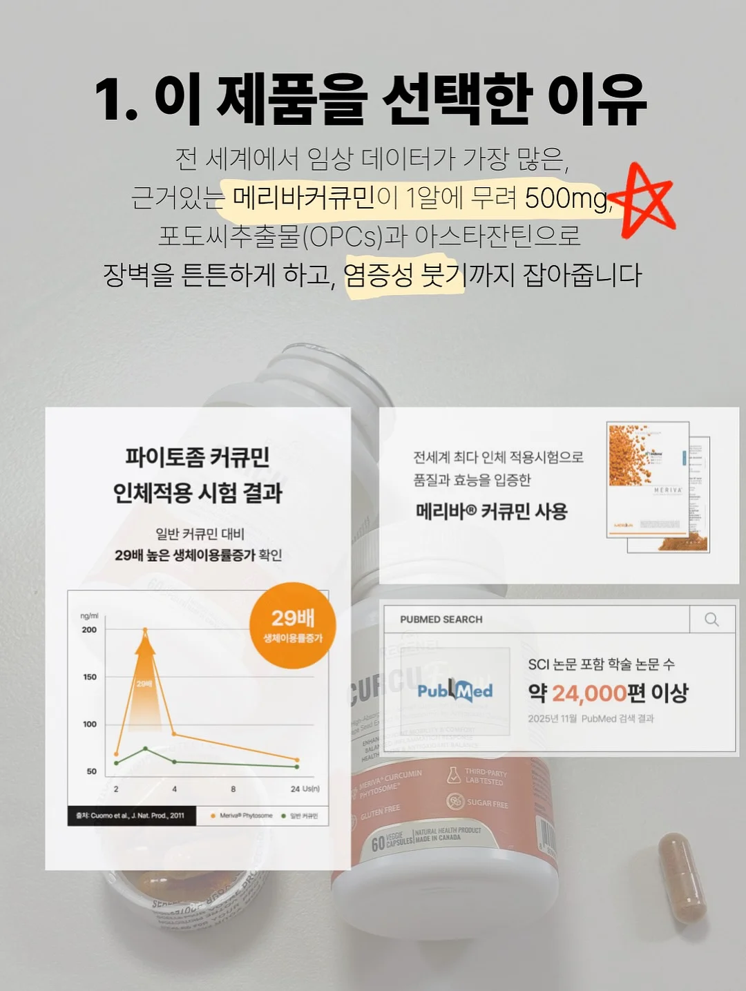 도트 라운드 반팔 블라우스 3
