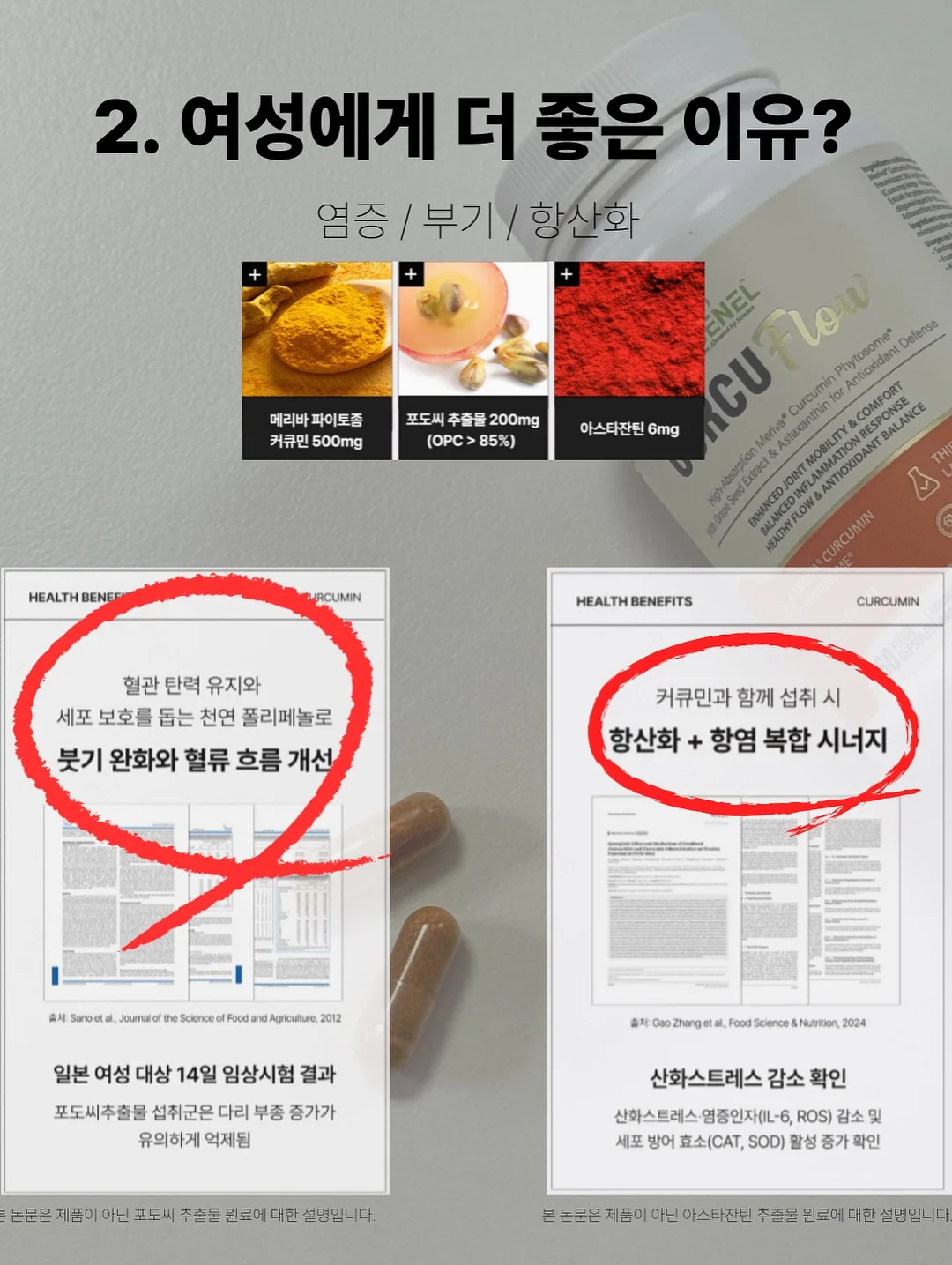 도트 라운드 반팔 블라우스 4