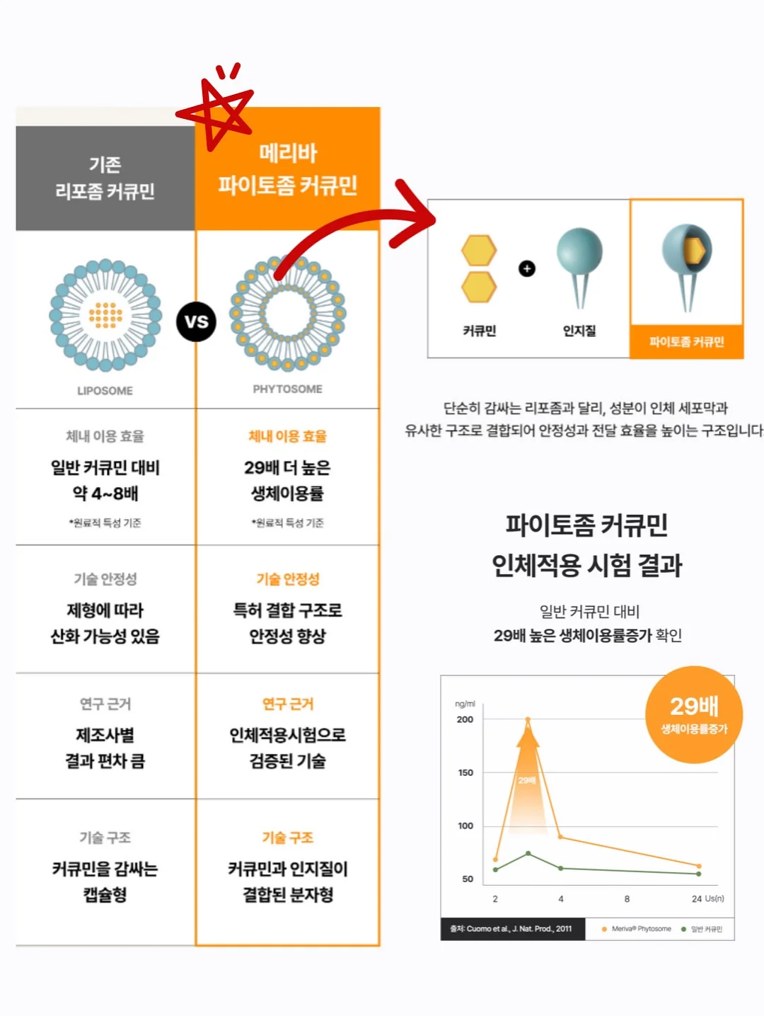 도트 라운드 반팔 블라우스 8