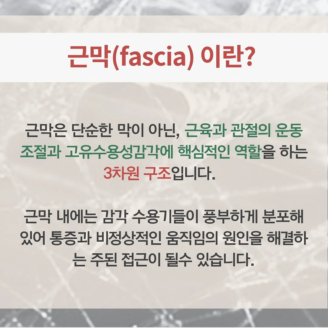 북한강 1열 독채 글램핑 2