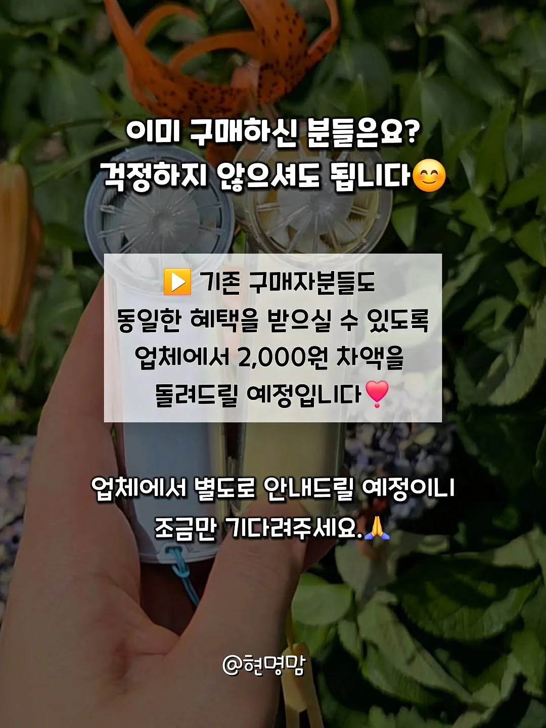 바이오메라 프로바이오틱스 유산균 2