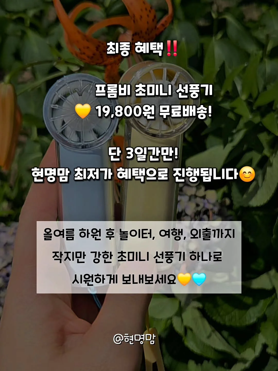 바이오메라 프로바이오틱스 유산균 3