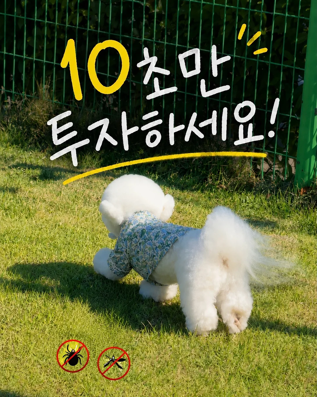 화이트골드 주얼리 1