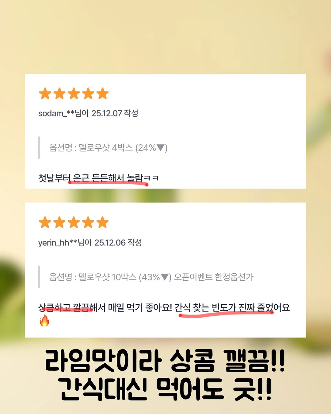 이슬람사 세계사 수업 15