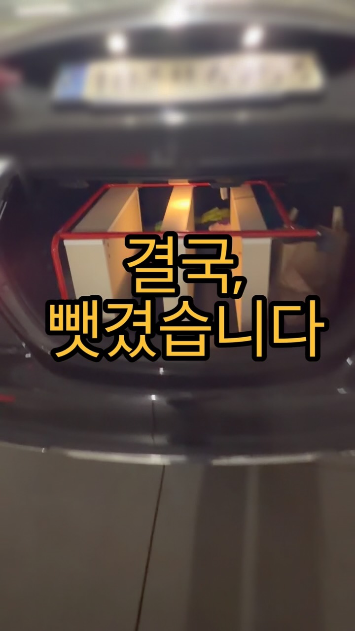 더신선 엑스트라버진 올리브오일