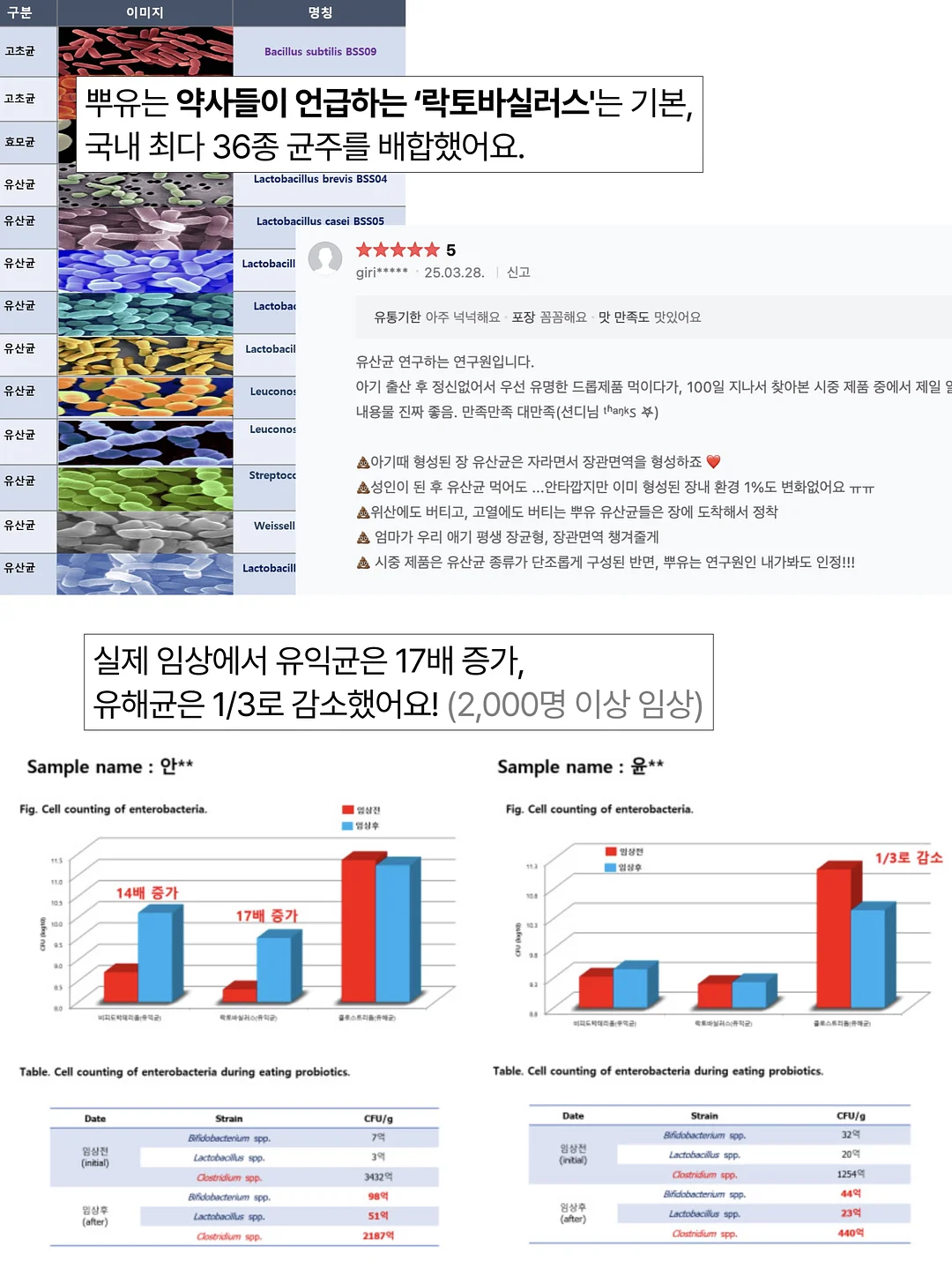 스투시 자수 후드 베스트 13