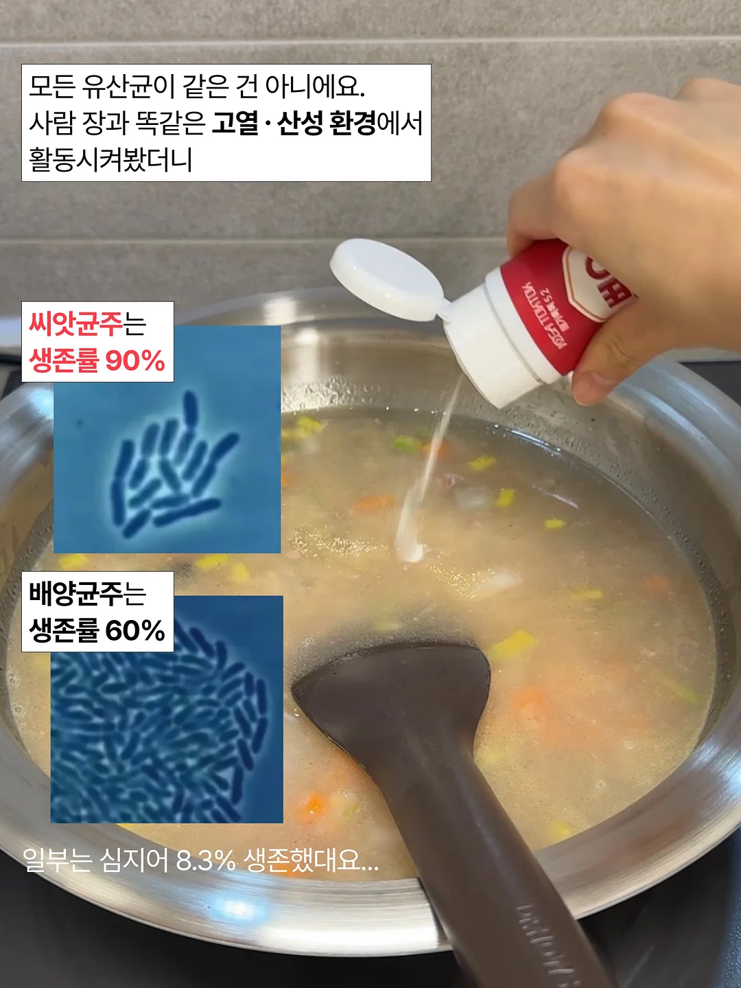 스투시 자수 후드 베스트 15
